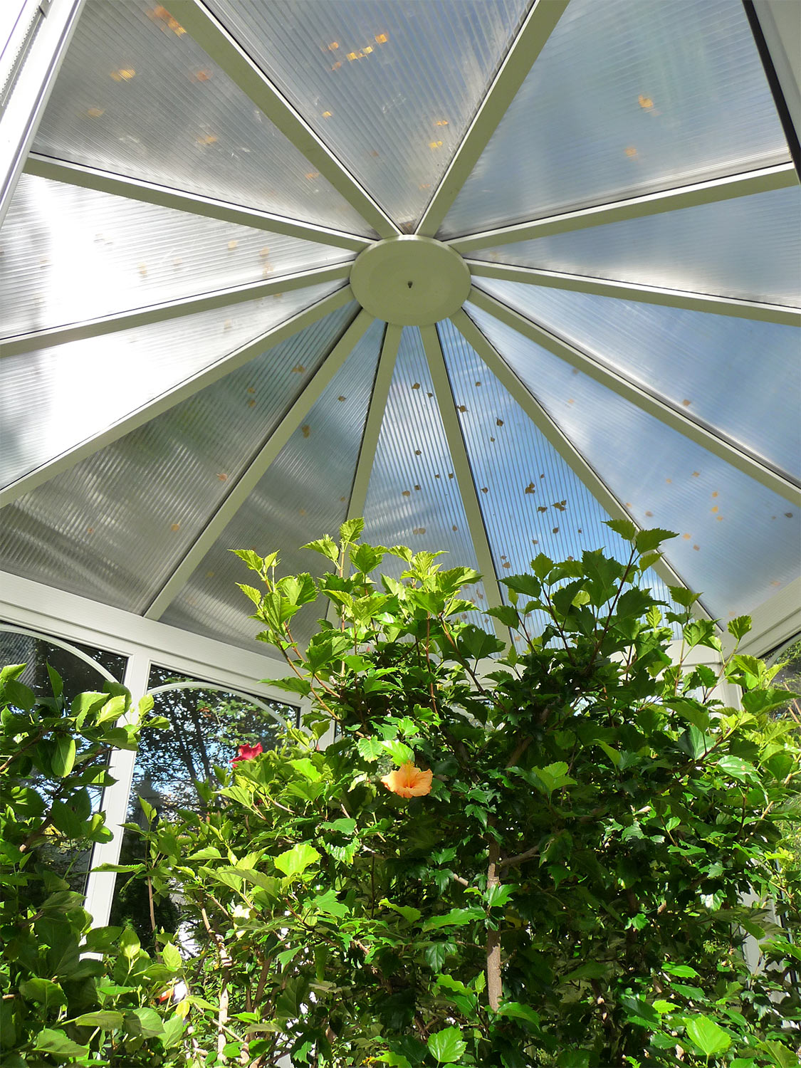 Gartenpavillon (Birkner Wintergärten)