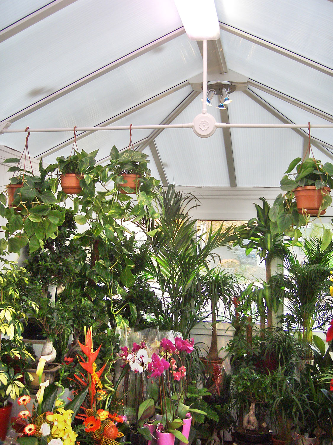 Blumen-Pavillon Berlin Landsberger Allee (Birkner Wintergärten)