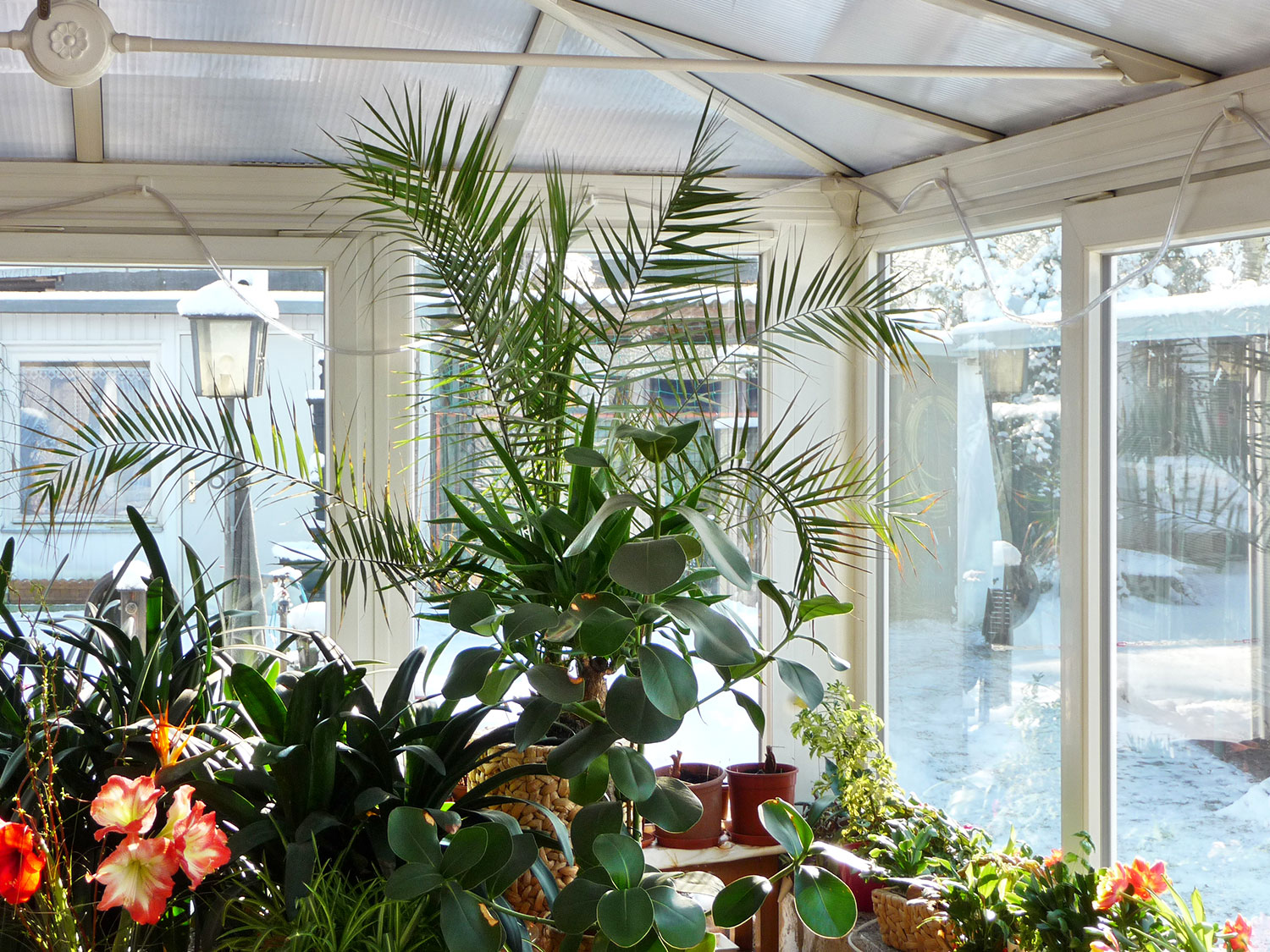 Wintergarten Krümmel (Birkner Wintergärten)